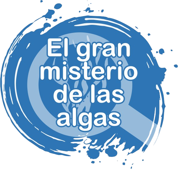 El gran misterio de las algas